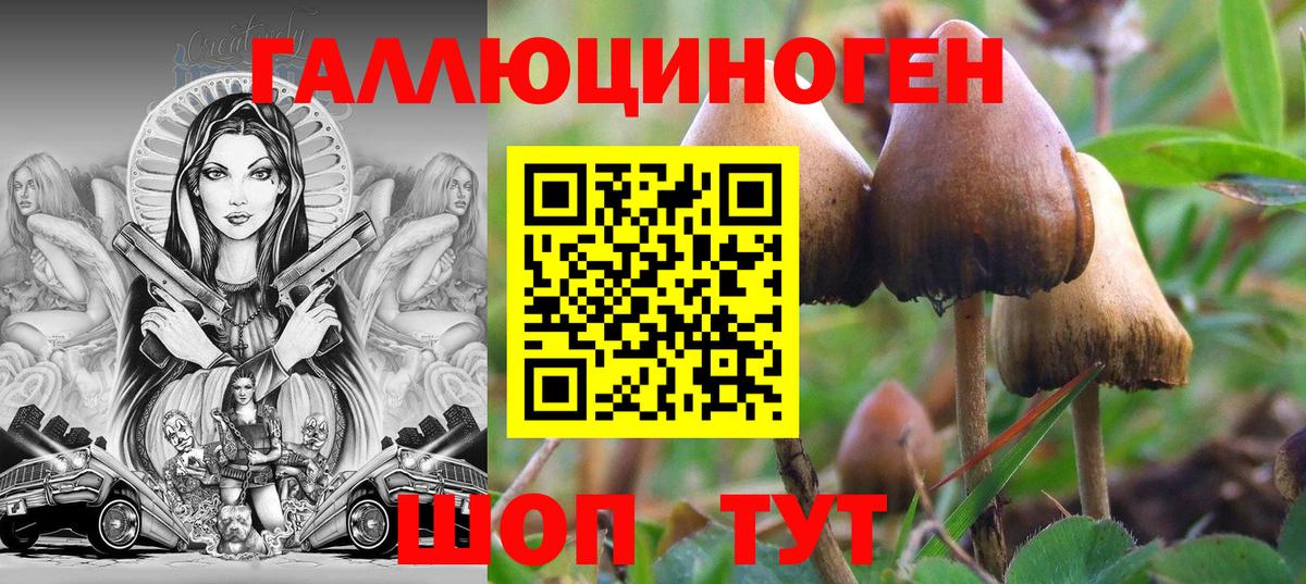 Галлюциногенные грибы мухоморы  Вход с VPN  Острогожск 